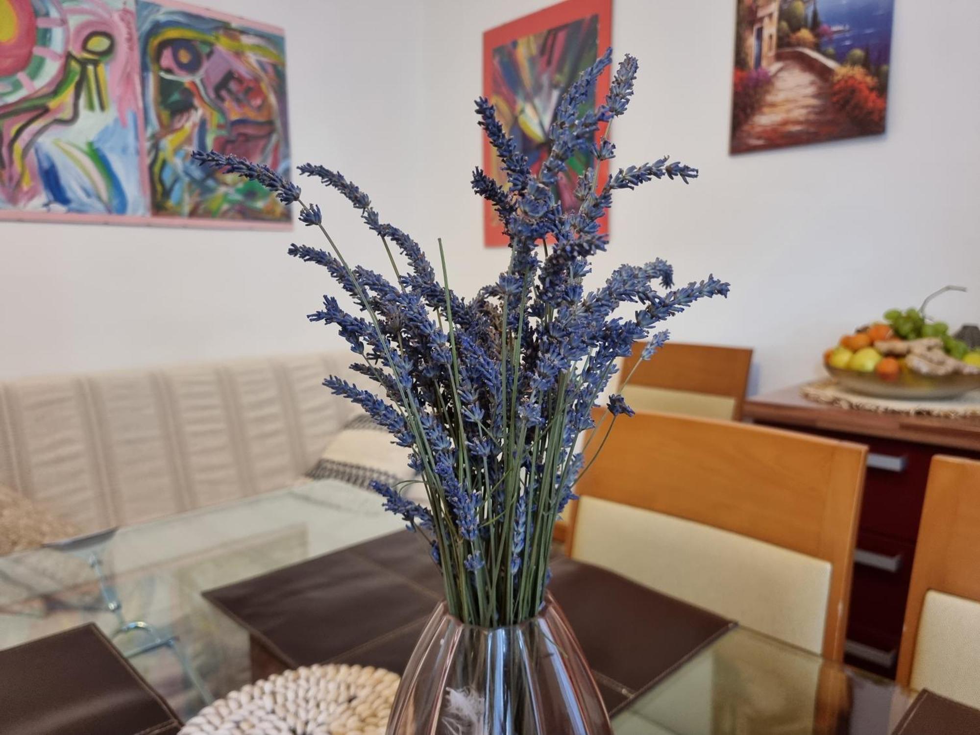 ***Apartment Magic &Summervibes*** Fiume Kültér fotó